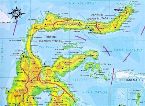 Peta Kota Palu Sulawesi Tengah Lengkap Dan Terbaru My Xxx Hot Girl