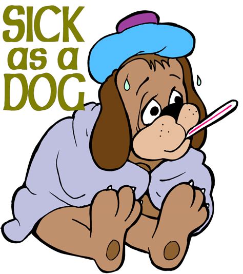 Now you know how to pop your ears. Andee's Cold & Flu Self Care Tips — Adventures With The Sage