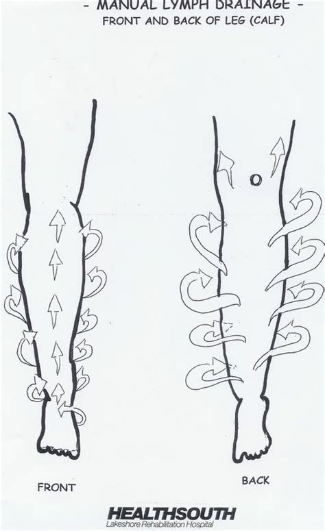 Manual Lymph Drainage Leg Illustrated Patterns Self Help Lymph