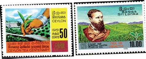 The ‘history Of Ceylon Tea Website A Dilmah Initiative Daily Ft