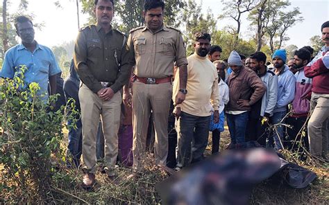 Chikkamagaluru Farmer Killed In Wild Elephant Attack