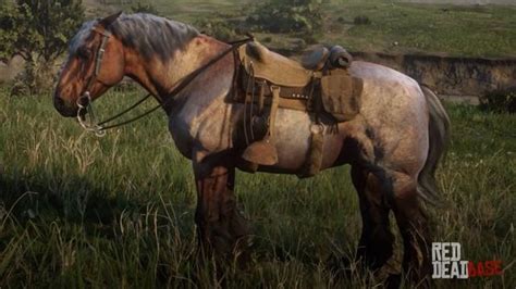 bay roan ardennes rdr red dead  horses  stats locations