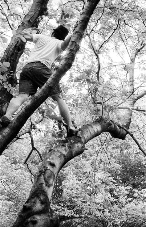 Boy Climbing Tree Black And White Photograph 8x10 Available In