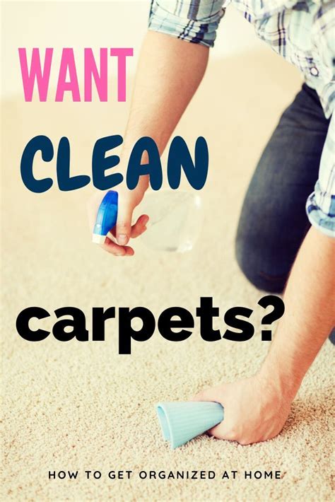 5 Simple And Easy Tips To Keep Your Carpet Clean How To Clean Carpet