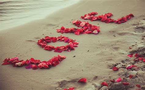 Download and use 3,000+ heart images for free. Sweet Romantic Petals Love Wallpaper - 5120x3200