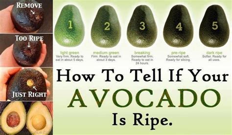how to tell if your avocado is ripe infographic guides and infographics avocado recipes food