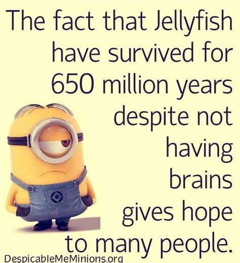 The Fact That Jellyfish Have Survived For Million Years Despite Not