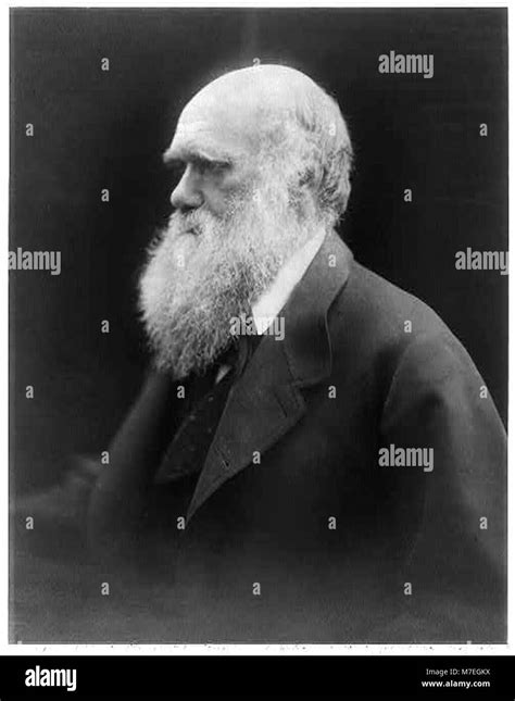 Charles Darwin Book Illustration Black And White Stock Photos And Images