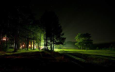 Hintergrundbilder Sonnenlicht Wald Nacht Natur Grün Abend
