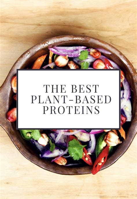 Best Vegan Protein Sources Nutrition Awareness
