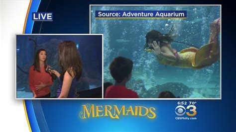 Mermaids Make A Splash At Adventure Aquarium In Camden Youtube