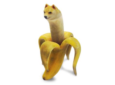 Banana Doge For Scale Ry5er38vv By Theinternets