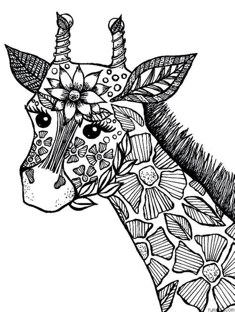 Realistic Giraffe Mandala Coloring Page Turkau