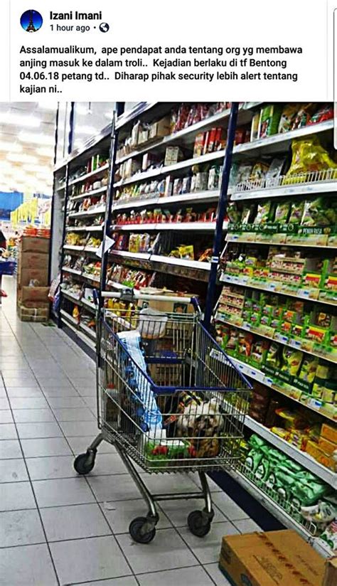Pd walk (246 m), regina mall port dickson (316 m), regina mall (329 m). Woof in aisle six: Dog in supermarket trolley sparks ire ...
