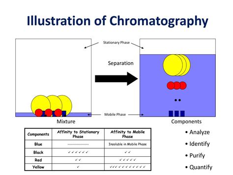 Ppt Chromatography Powerpoint Presentation Free Download Id2394773