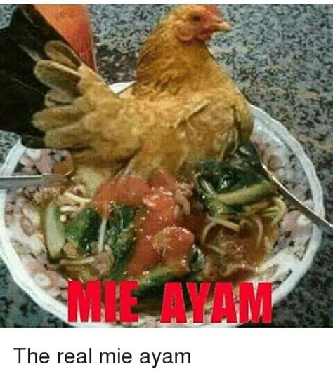Gambar Lucu Tentang Ayam