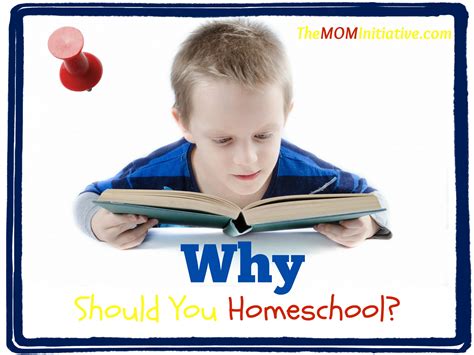 Why Homeschooling May Be An Option The Mom Initiative