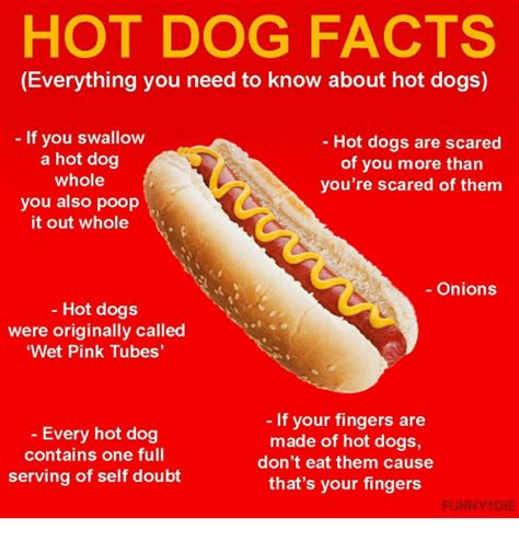 Hot Dog Facts Everything You Need To Know About Hot Dogs If You