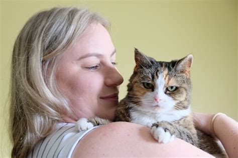 Abbies Absolute Heaven Cats Protection Wellington
