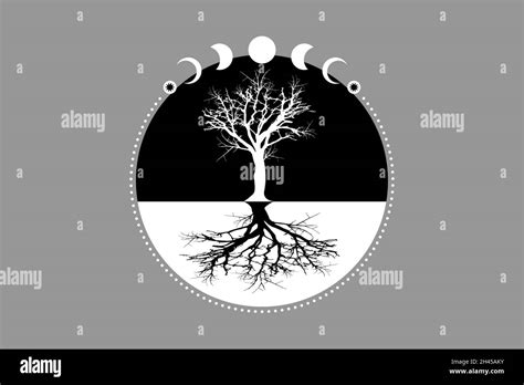 Mystical Moon Phases Tree Of Life Sacred Geometry Tree And Roots