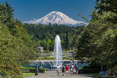University Of Washington Seattle Campus Photo Spot