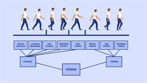 All You Need To Know About Walking Stride Fitpage