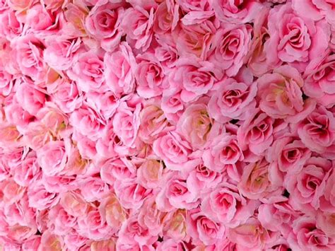 Stunning background stock photos and vectors available for download. 10 Whimsical Photo Backdrops to Pretty-up Your Next ...