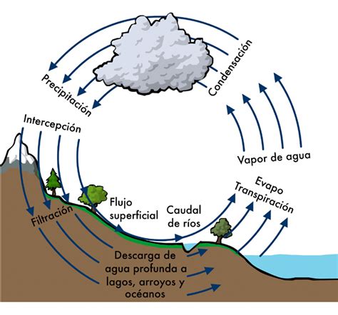 Climántica El Ciclo Hidrológico