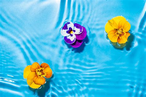 Flowers Floating In The Water During The Day Background In The Water