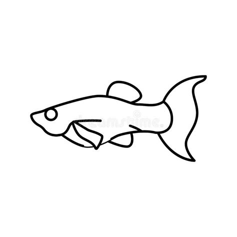 Molly Fish Line Icon Vector Illustration Stock Vector Illustration Of