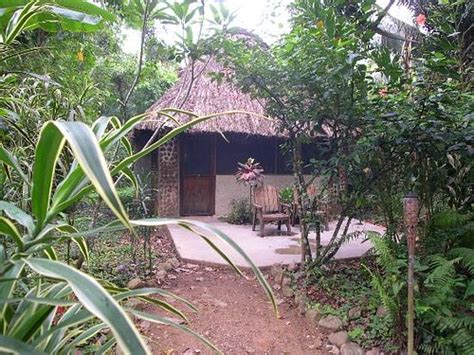 Ian Andersons Caves Branch Jungle Lodge Belizebelmopan Tarifs 2022