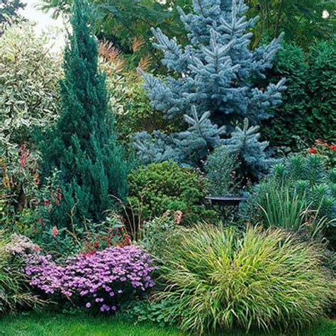 When A Front Yard Has A Lot Of Trees Shrubs Or Decorative Elements On