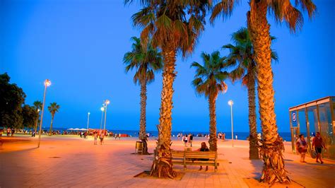 Barceloneta Beach In Barcelona Expedia