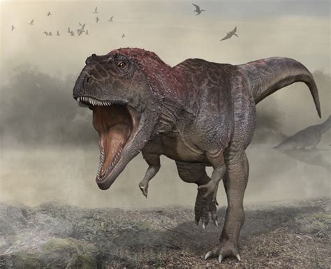 Tiny Arms Of T Rex And Other Giant Dinosaurs Were Handy For Mating History First