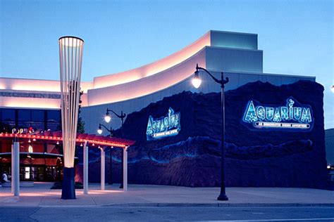 Downtown Aquarium Houston Attractions Review 10best Experts And