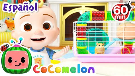Cocomelon En Español Pijamada De Jelly Bean Compilación De