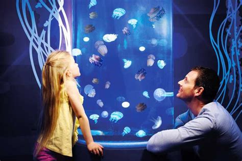 Gardaland Sea Life Akvarium Åben Skip Køen Billet Getyourguide