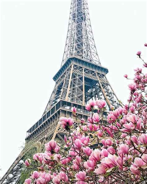 Follow Us Tigermistloves For More Daily Inspo ♡ Tour Eiffel Paris