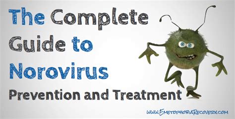 The Complete Guide To Norovirus Prevention And Treatment