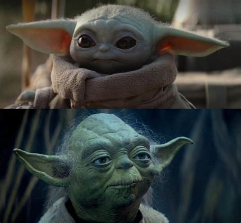 RECAP — Check out this Baby Yoda meme, you must | Video | Kids News