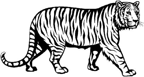 Free Bengal Tiger Clipart Download Free Bengal Tiger Clipart Png