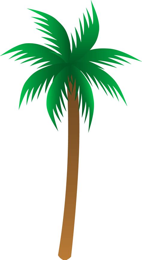 Vector Palm Tree Clip Art Palm Trees Clipart Mylocalguide Site Clipartix