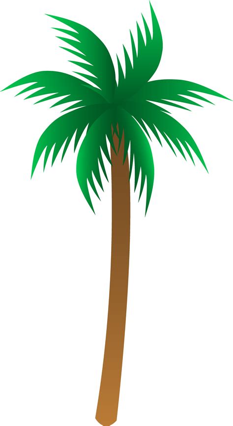 Palmetto Tree Art Clipart Best