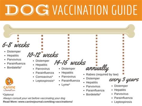 Vaccinations are an important part of your puppy's overall health. How to Socialize a Puppy | Pup | Dog vaccinations, Puppies ...
