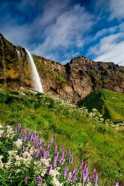 Iceland Seljalandsfoss Lush Iceland Waterfalls Travel