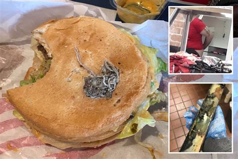 Stomach Churning Fast Food Horror Stories From Mould Scooped Out Of