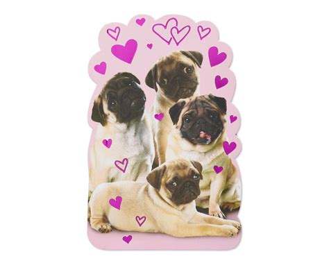 Pugs Valentines Day Card American Greetings