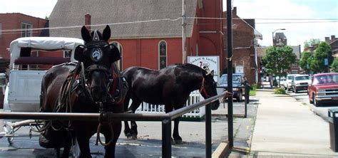 Around The Town Carriage Bardstown Roadtrippers