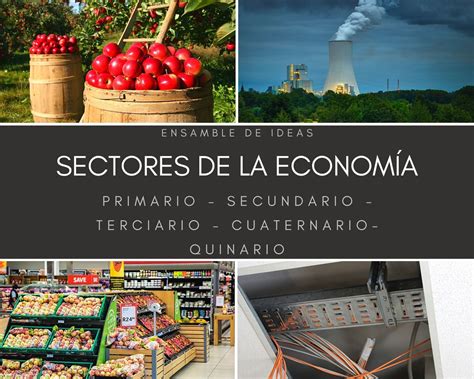 Sectores Económicos Explicados Con Ejemplos Ensamble De Ideas