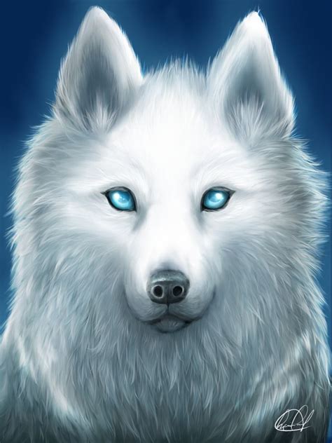White Spirit Wolf By Kyo Chan12 Wolf Spirit Animal Anime Wolf Wolf Painting